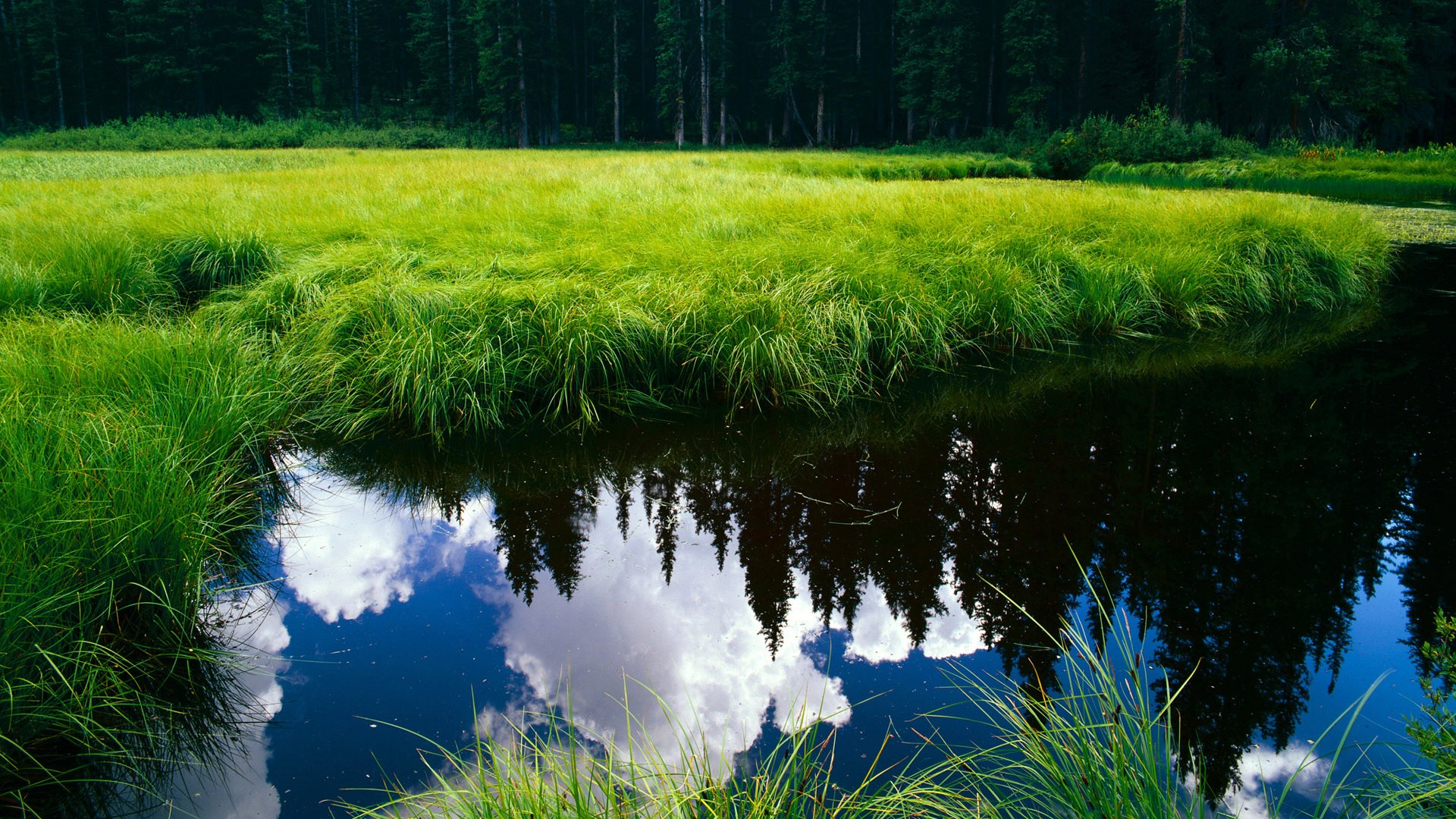 jiuyou-意甲高速反击：秒秒钟的突破引爆全场！，意甲 意乙