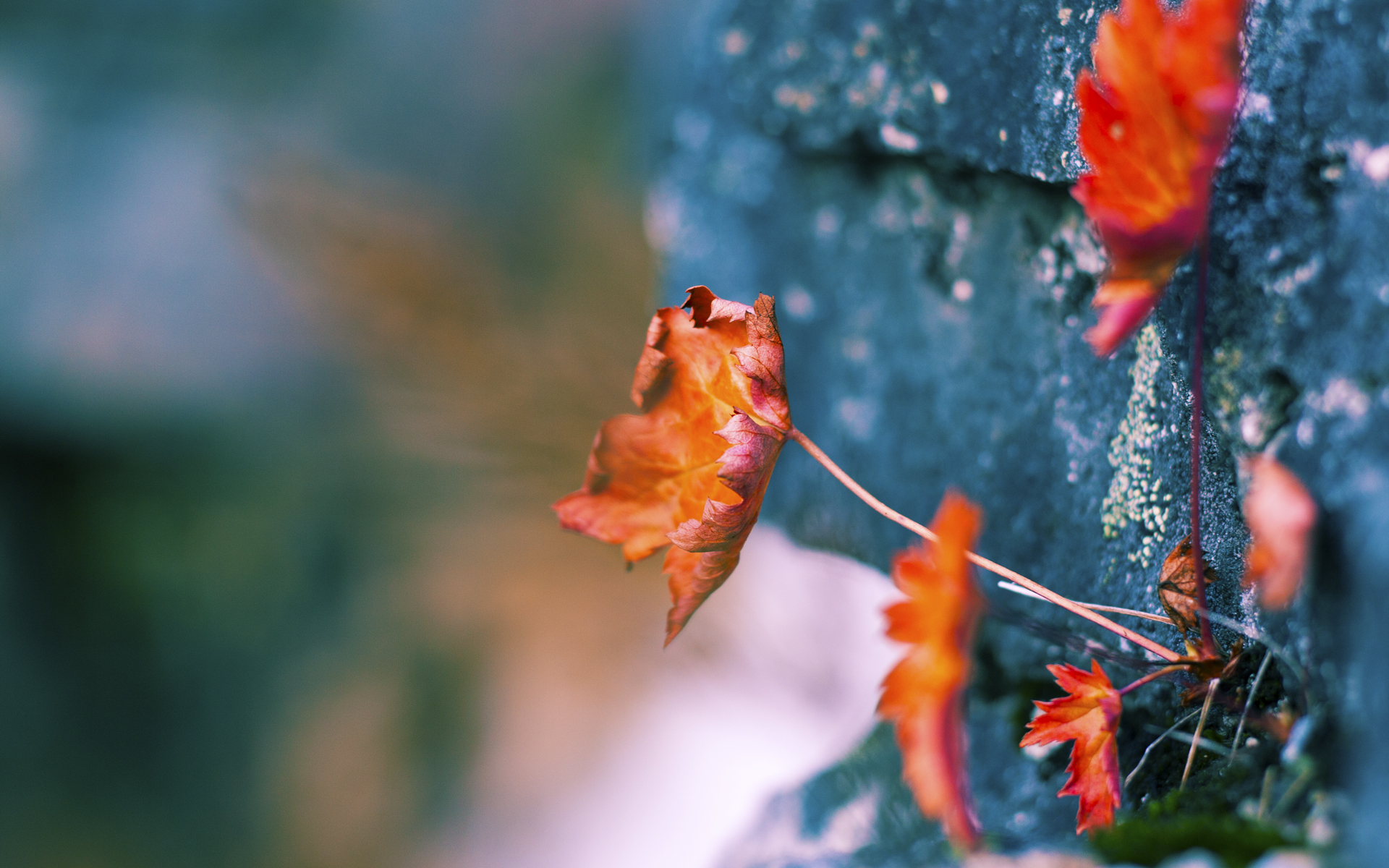 九游会-法甲奇迹逆转：坚韧不拔，成就传奇，法甲传奇巨星