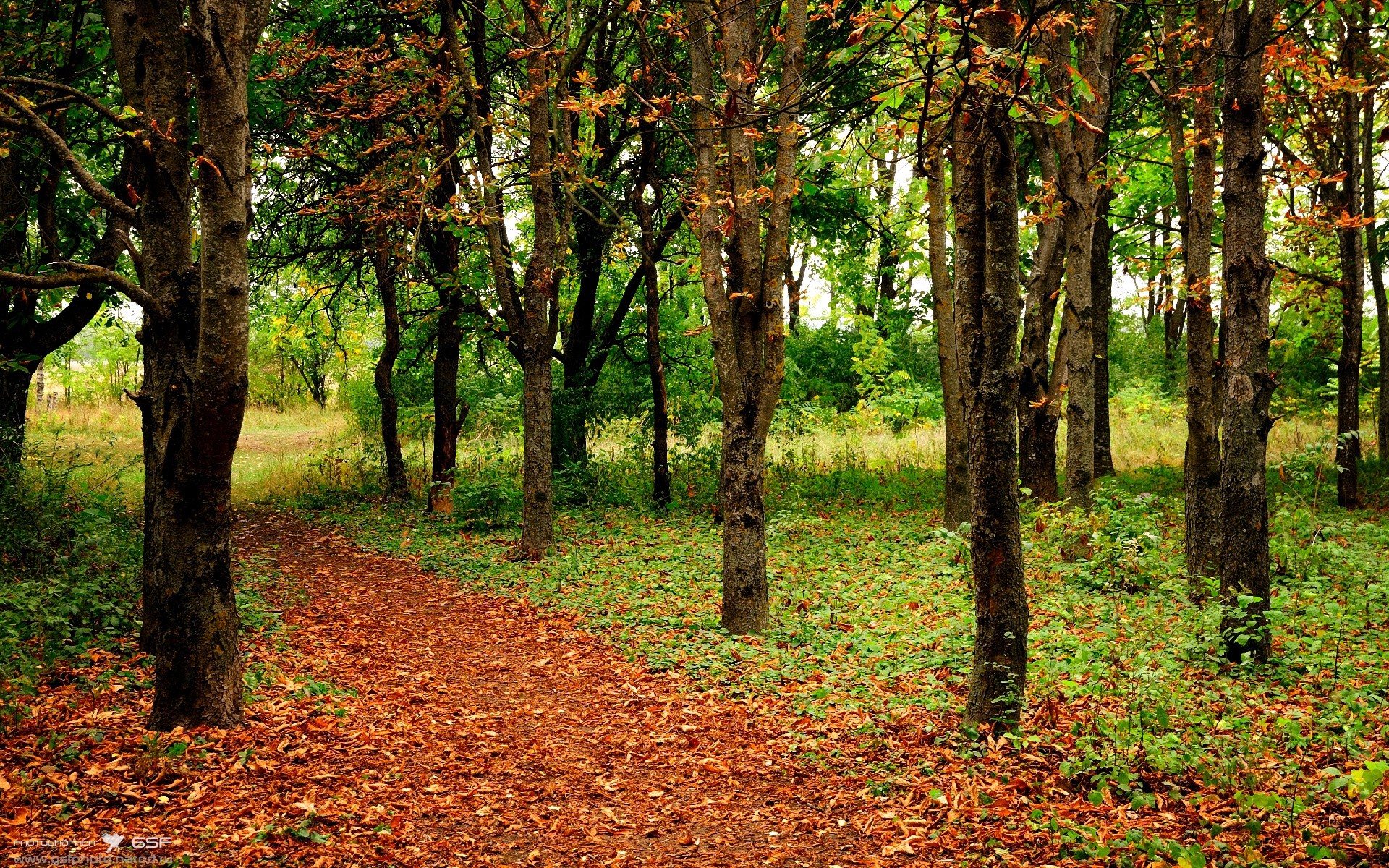 九游体育网页登陆-青训营设置目标引导计划帮助球员明确阶段性成长路线，青训营要求