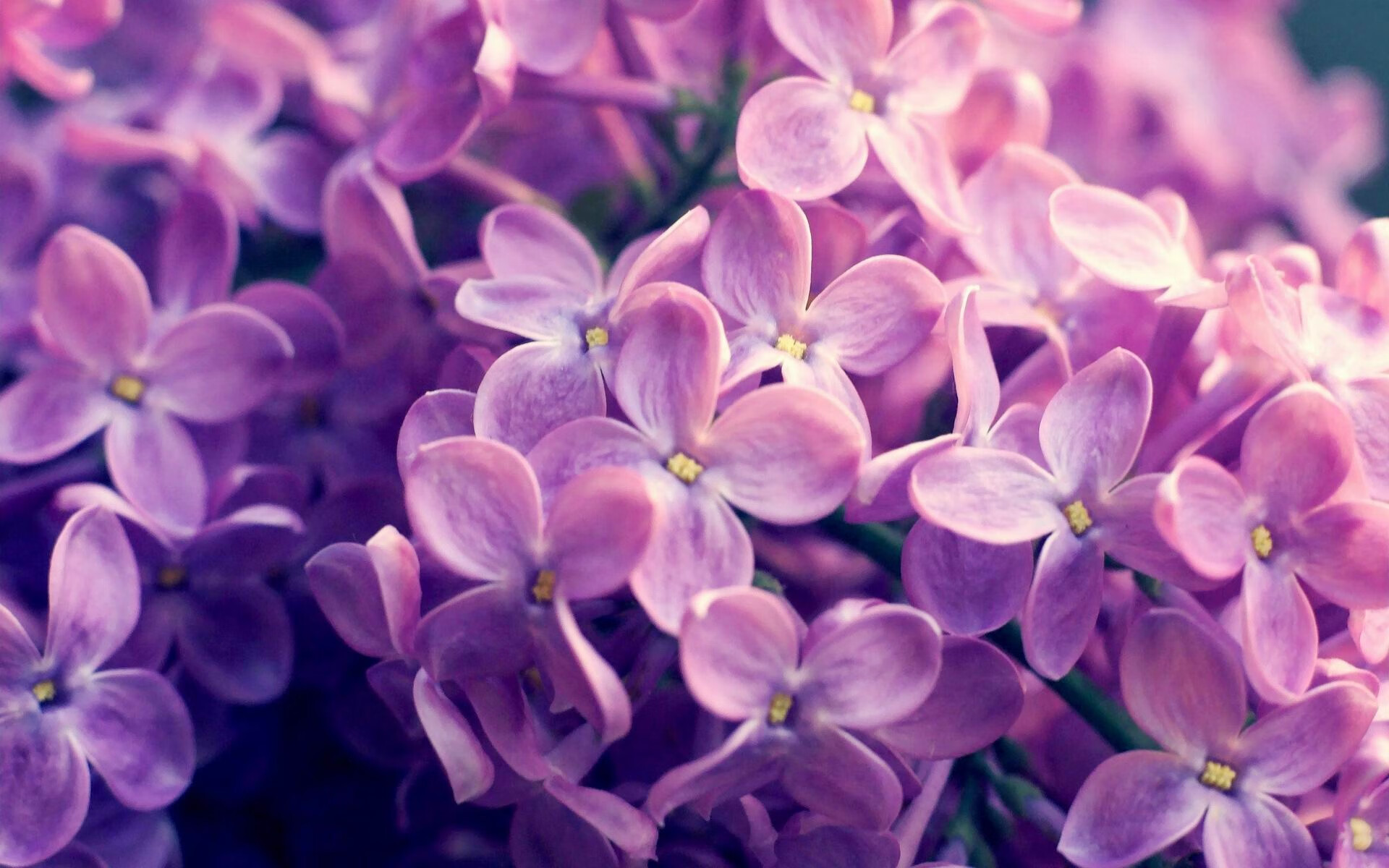 九游娱乐app下载-马拉松赛事医疗设备标准化提上日程，马拉松比赛医疗保障方案