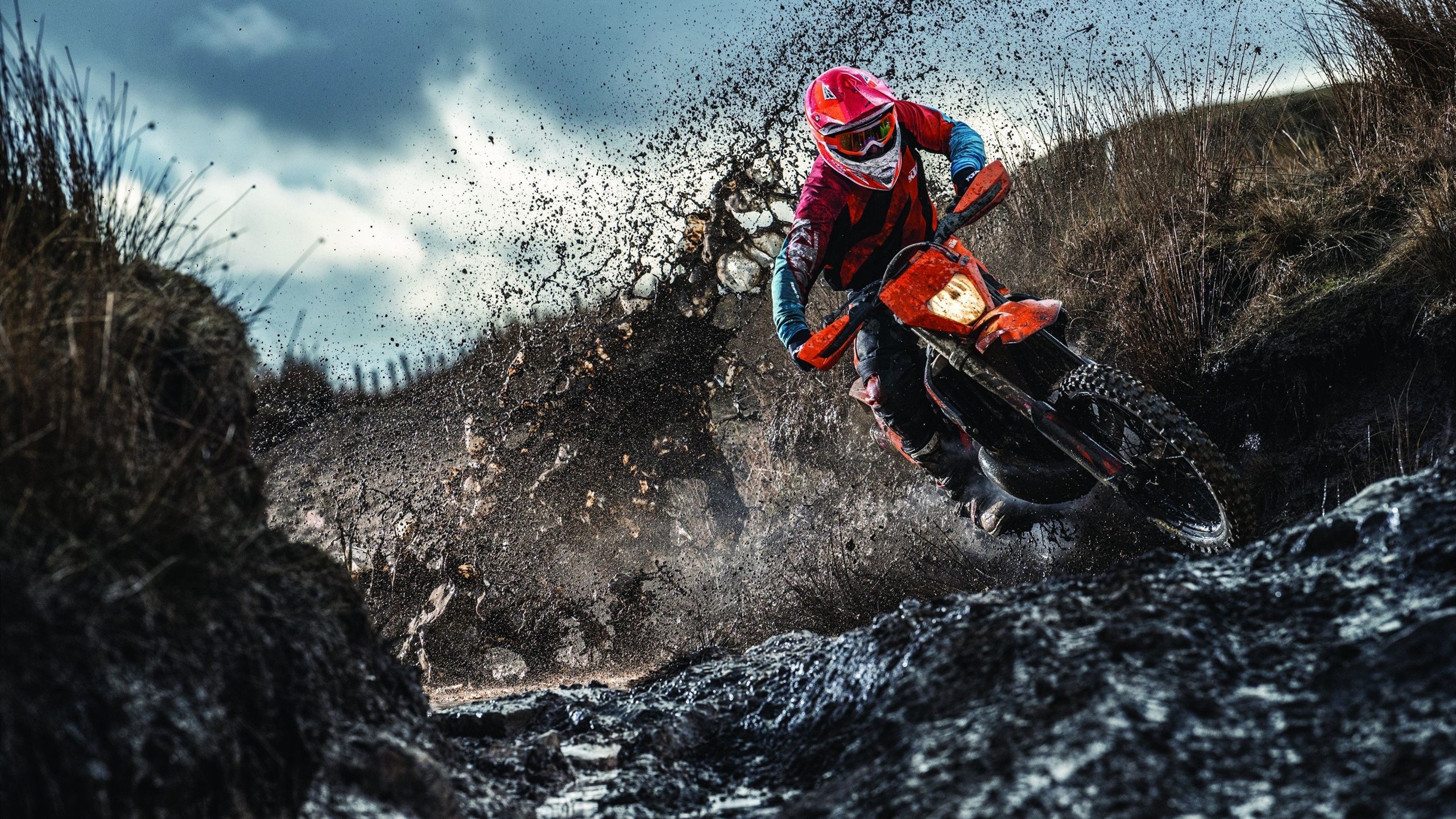 _湖人队造势反弹，士气高昂_，快速了解湖人队